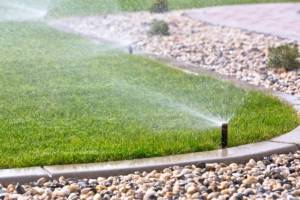 Sprinklers watering grass