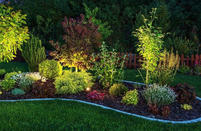 backyard flowerbed with landscape lighting