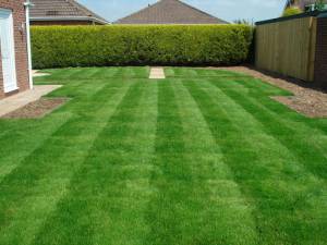 Lawn Mowing Service Lawn with landscape drainage system