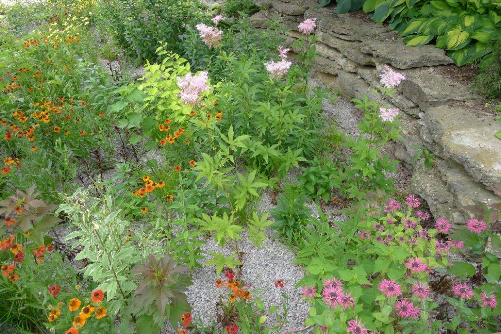 Rain garden landscape drainage system