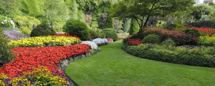 Landscape design with grass, flowers and bushes
