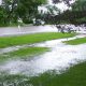 boggy lawn with standing water and drainage problem