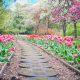 commercial landscape maintenance