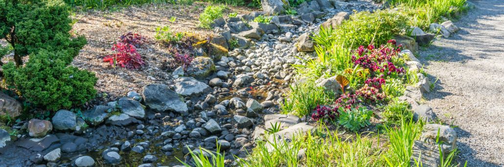 dry creek bed