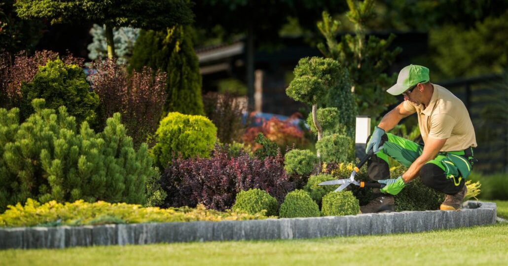 professional landscape service