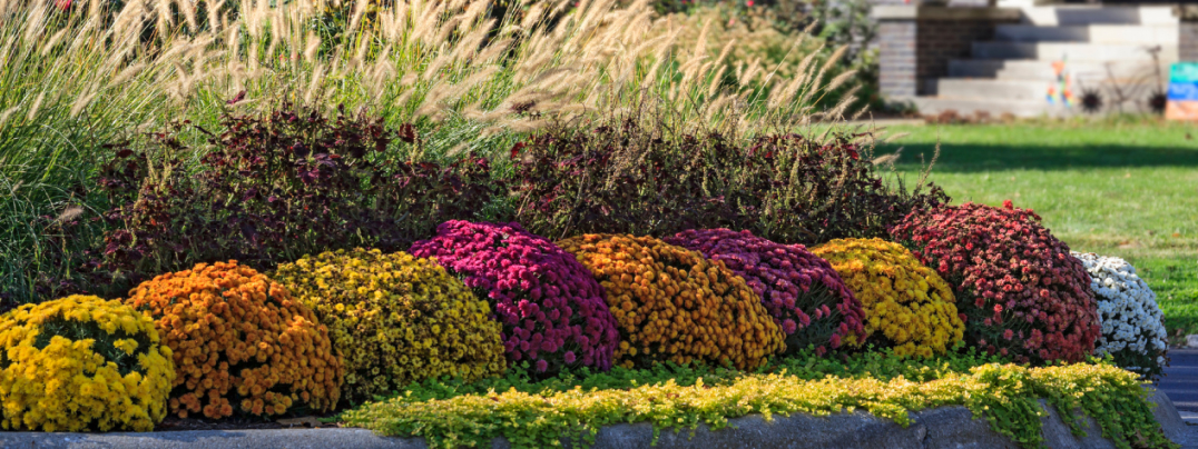 fall-flower-beds(1)