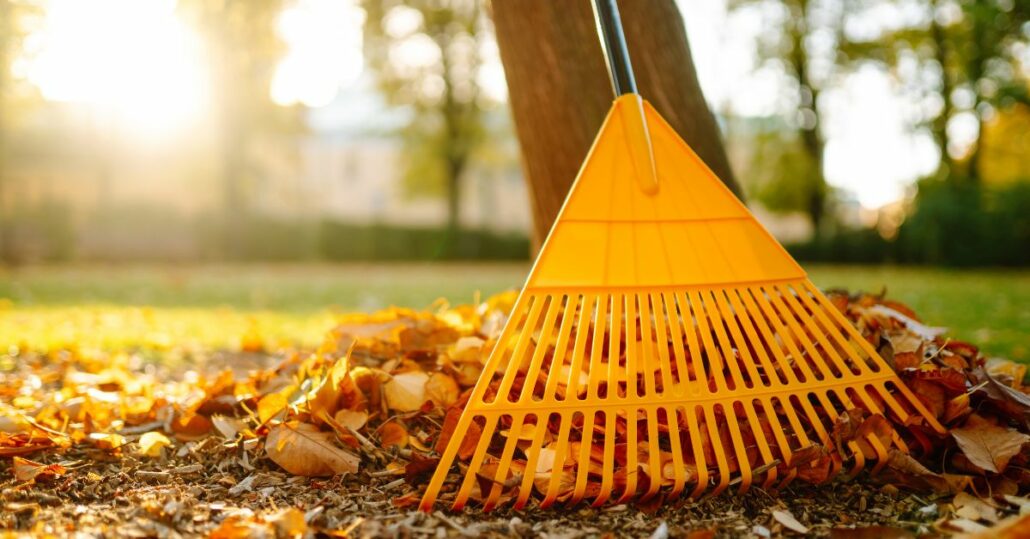 mulching leaves
